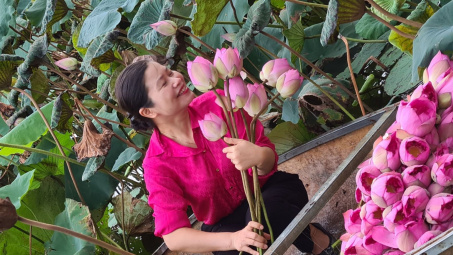 Kiêu hãnh trà sen Tây Hồ