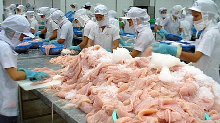 Cwin com sòng bạc trực tuyến cá tra sang thị trường ASEAN tăng mạnh