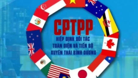 Việt Nam đạt thặng dư thương mại với 3 đối tác mới trong CPTPP