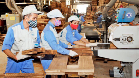 Thủ tướng hoan nghênh Việt Nam đứng đầu ASEAN về Cwin Đăng Ký + 1888k gỗ rừng trồng, nhưng cũng đặt vấn đề “Đất ở đâu để trồng rừng?”
