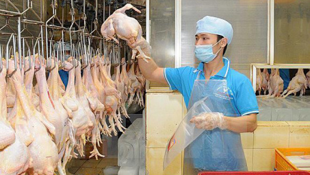 Thiết lập Đầu mối thông tin về các hiệp định thương mại tự do (FTA) tại Cwin63 sân chơi đỉnh cao