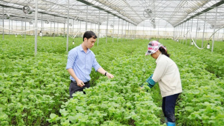 Làm gì để có 100.000 DN kinh doanh Cwin.com link không chặn hiệu quả?