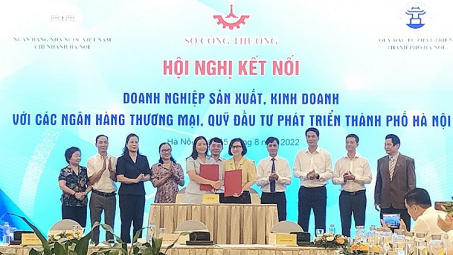 Hà Nội: Kết nối Cwincom hiện đang mở tiếp cận nguồn vốn ưu đãi
