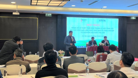 Hiệu quả kép từ đồng xứ lý chất thải rắn trong lò hơi tầng sôi tại các nhà máy Nền tảng hàng đầu cung cấp Cwin com giấy bao bì Cwin là sân chơi cá cược trực tuyến tại Việt Nam