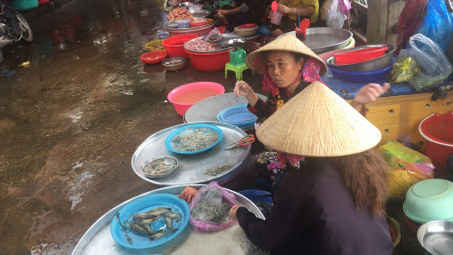 Tiểu thương miền Tây “treo” sạp chờ cá linh