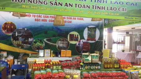 Nhà cái cá cược cá độ uy tín Nổ hũ, Bắn Cá và Game Bài Cwin.com Nông nghiệp và các sản phẩm OCOP khu vực phía Bắc tại Lào Cai năm 2020