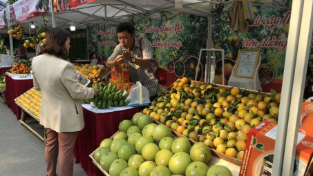 Đang diễn ra Phiên chợ cam Hưng Yên năm 2019