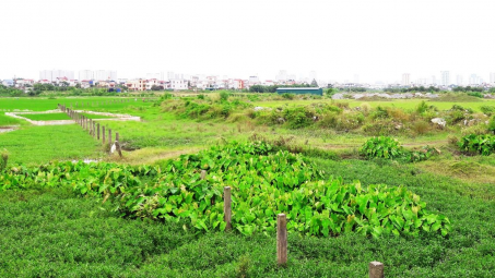 Giải pháp tăng cường công tác quản lý giao đất và cho thuê đất trên địa bàn huyện Thạch Thất, Thành phố Hà Nội