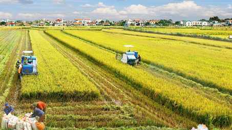 Giải pháp tăng cường tín dụng ngân hàng phát triển kinh tế Cwin.com link không chặn Vùng kinh tế trọng điểm vùng Đồng bằng sông Cửu Long