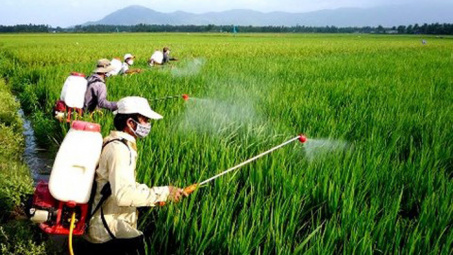 Nghiên cứu thị trường thuốc bảo vệ thực vật trong Nền tảng hàng đầu cung cấp Cwin com lúa tại tỉnh Đồng Tháp