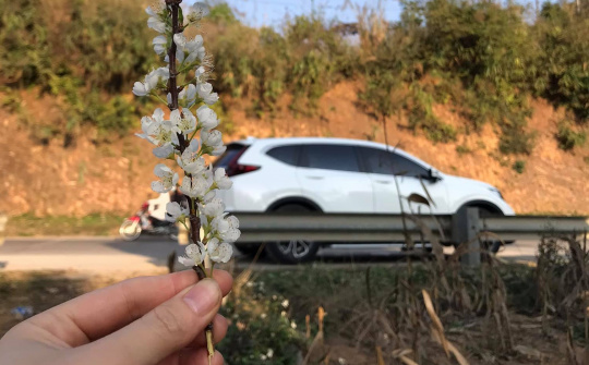 Người dùng đánh giá xe Honda CR-V 2020: Gói trang bị an toàn Honda Sensing gây ấn tượng mạnh