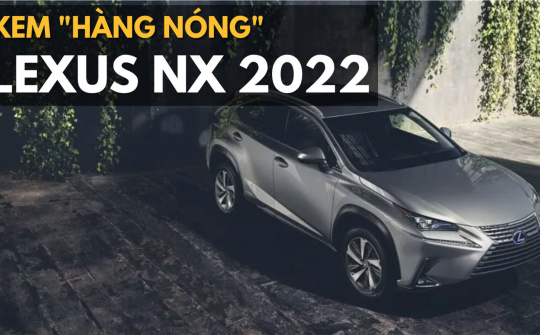 Lexus NX2022 ra mắt: Rất nhiều điểm mới
