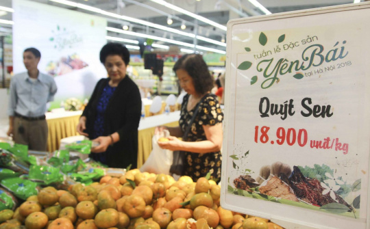 Yên Bái bắt tay Big C đẩy mạnh tiêu thụ cho nông sản tỉnh
