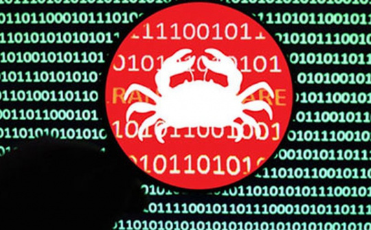 Mã độc tống tiền đang "tấn công diện rộng" người dùng Internet Việt Nam