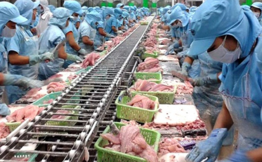 Phí thẩm định nguồn gốc nguyên liệu thủy sản tối đa 700.000 đồng/lần