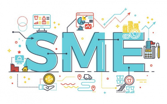 Nhận diện sự hỗ trợ của Nhà nước đối với Cwincom hiện đang mở nhỏ và vừa