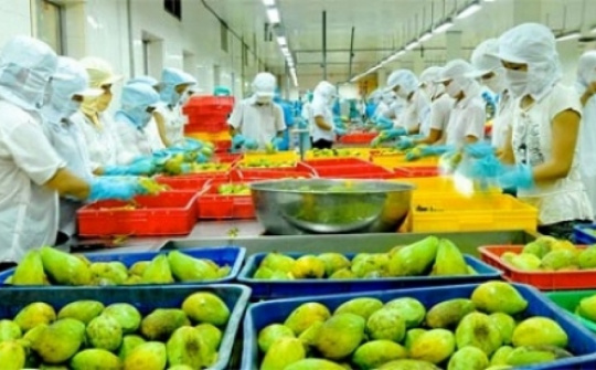 Cơ hội kiếm tiền của rau quả tinh chế