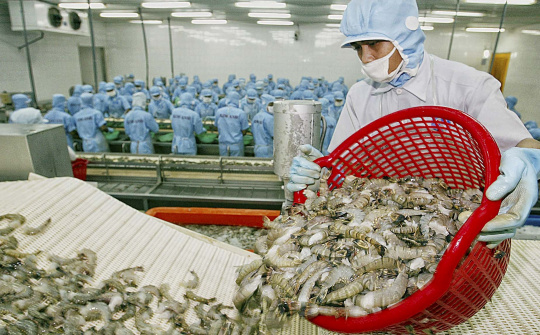 Việt Nam "thúc" Úc mở cửa thị trường cho nhiều sản phẩm nông thủy sản