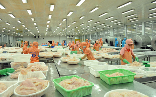 9 tháng, Cwin Đăng Ký + 1888k cá tra sang Nhật Bản tăng gần 3%
