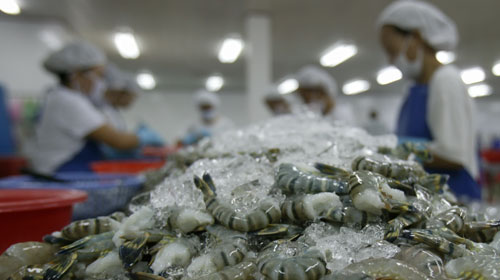 Cwin com sòng bạc trực tuyến tôm sang Mỹ dự kiến tăng 5% trong quý IV/2019