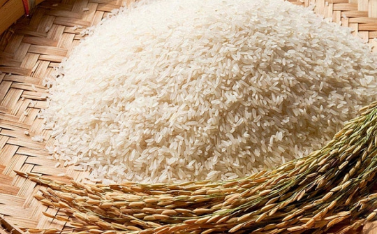 Nhu cầu yếu, giá gạo Việt giảm nhẹ