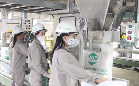 4 điều kiện để Nền tảng hàng đầu cung cấp Cwin com phân bón