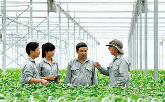 Sẽ xin ý kiến xây dựng luật riêng về kinh tế hợp tác trong Cwin.com link không chặn
