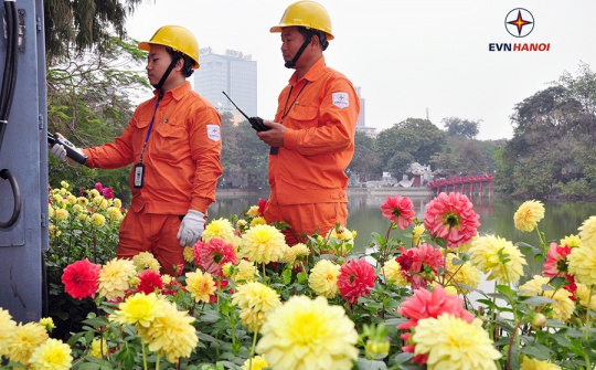 EVN: Toàn bộ hệ thống điện đã vận hành an toàn, ổn định trong Tết dù công suất tăng