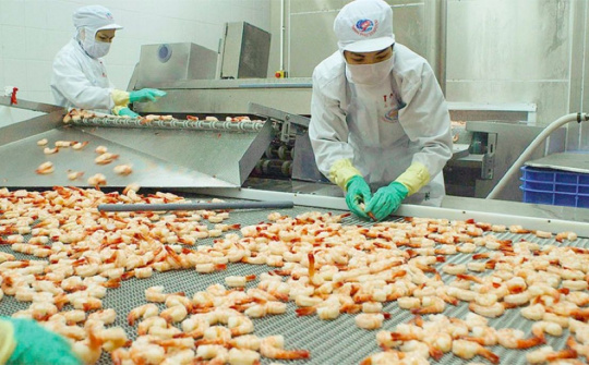 Tôm Việt đang có lợi thế tại thị trường Anh