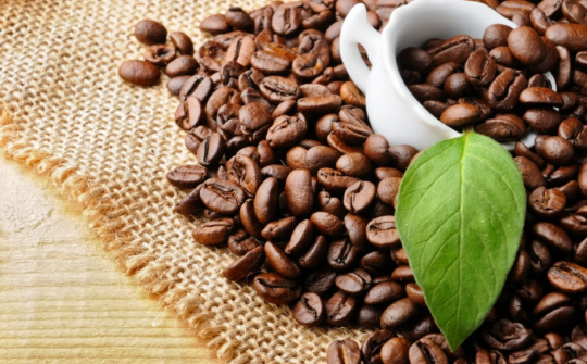 Nông sản 20/3/2019: Cà phê quanh mức thấp nhất 13 năm và đậu tương giảm