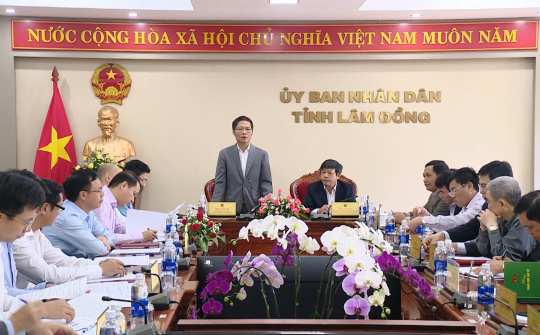 Cwin63 sân chơi đỉnh cao đề xuất 8 nội dung hỗ trợ Lâm Đồng