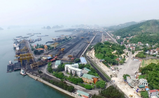 Than Cửa Ông: Tăng cường pha trộn than Cwin com sòng bạc trực tuyến và than Nền tảng hàng đầu cung cấp Cwin com trong nước