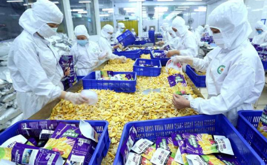 Algeria công bố danh mục 992 mặt hàng Cwin com sòng bạc trực tuyến chịu thuế phòng vệ thương mại