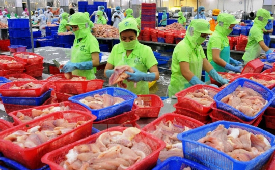 Cwin com sòng bạc trực tuyến thủy sản dự báo tăng 8% trong quý II/2019