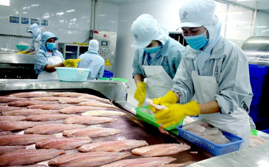 Cwin com sòng bạc trực tuyến cá tra sang 10 nước nước CPTPP: Nhiều cơ hội mở rộng thị phần