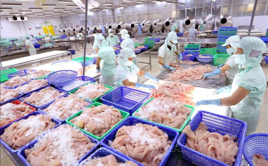 Cwin com sòng bạc trực tuyến cá tra sang ASEAN tăng 14,6%