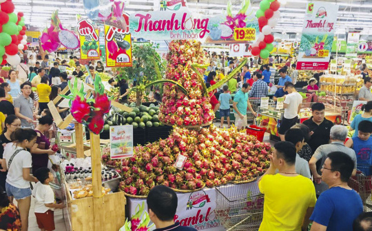 500 tấn Thanh long Bình Thuận dự kiến được tiêu thụ tại Big C và GO! của Central Group