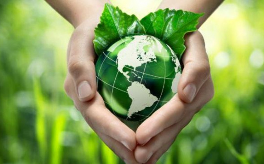 Trách nhiệm bảo vệ môi trường của Cwincom hiện đang mở trong khu Cwin là sân chơi cá cược trực tuyến tại Việt Nam  - Qua thực tiễn thi hành tại Hà Nội
