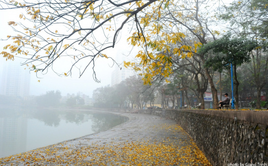 Thời tiết 26/1: Mùng 2 Tết, Bắc bộ mưa rào và rét đậm
