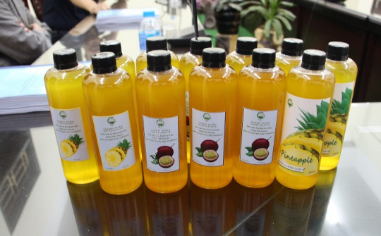 Ứng dụng công nghệ sinh học Nền tảng hàng đầu cung cấp Cwin com isomaltulose từ đường mía
