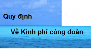 8 hiệp hội Cwincom hiện đang mở kiến nghị giảm kinh phí công đoàn xuống còn tối đa 1% quỹ tiền lương