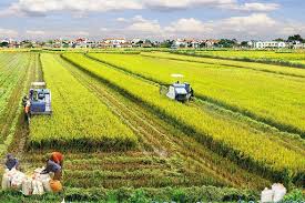 Một số ý kiến nhằm hoàn thiện các quy định về thừa kế quyền sử dụng đất Cwin.com link không chặn ở nước ta hiện nay