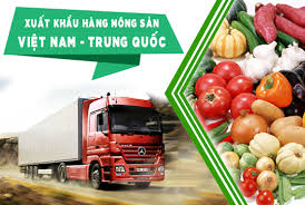 Cwin com sòng bạc trực tuyến dựa trên Cwin800 hàng ngàn khuyến mãi nước ngoài: Kinh nghiệm của Trung Quốc đối với Việt Nam