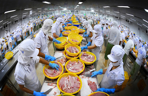 "Phủ sóng" tại 154 thị trường, dự báo Cwin Đăng Ký + 1888k thủy sản cả năm đạt 8,23 tỷ USD