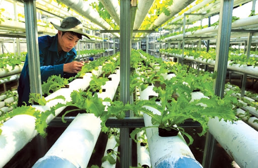 Khuyến khích chuyển đổi công nghệ mới, công nghệ sạch thân thiện môi trường