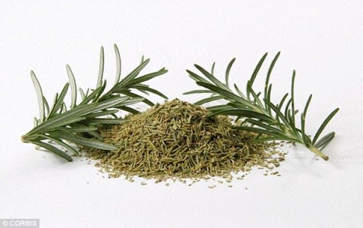 Quy trình chưng cất và đánh giá khả năng kháng khuẩn của tinh dầu từ lá hương thảo (Rosmarinus Officinalis L.)