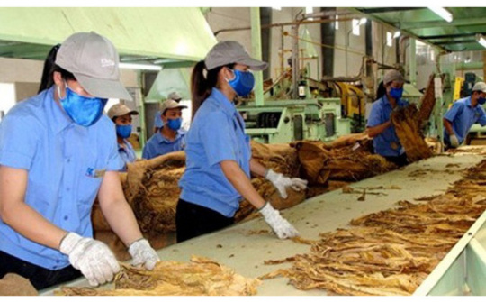 Giấy phép Nền tảng hàng đầu cung cấp Cwin com thuốc lá có thời hạn 5 năm