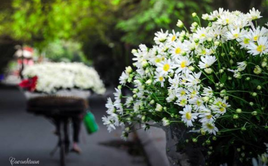 Thời tiết 25-11: Bắc bộ trời se lạnh, trưa chiều hửng nắng