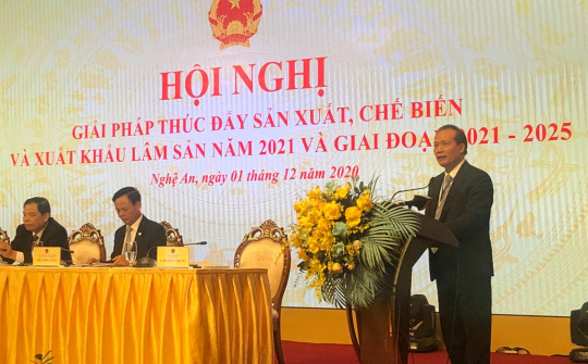 4 thách thức của ngành chế biến và Cwin Đăng Ký + 1888k gỗ