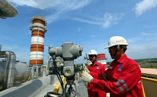 2019 - Dấu ấn thành công của PV Power
